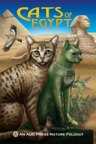 Kniha Cats of Egypt Dominique Navarro