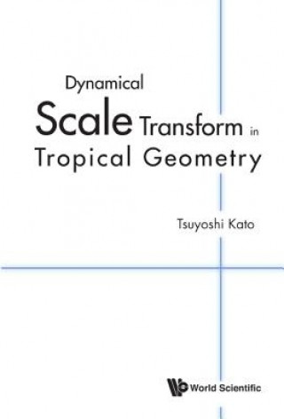 Libro Dynamical Scale Transform In Tropical Geometry Tsuyoshi Kato