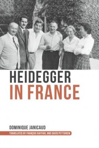 Kniha Heidegger in France Dominique Janicaud