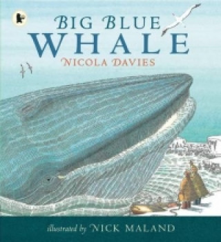 Kniha Big Blue Whale Nicola Davies