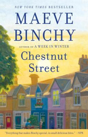 Kniha Chestnut Street Maeve Binchy