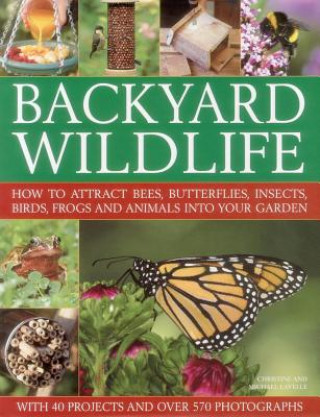 Könyv Backyard Wildlife Christine Lavelle