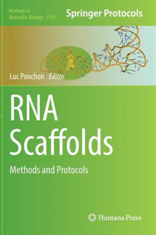 Kniha RNA Scaffolds Luc Ponchon