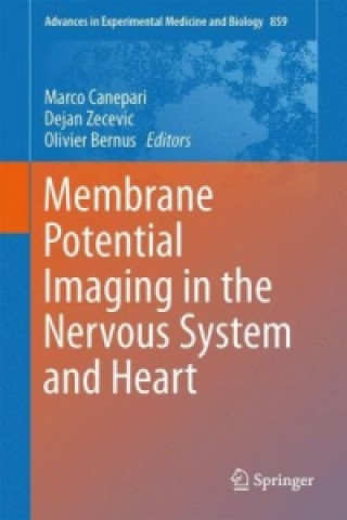 Buch Membrane Potential Imaging in the Nervous System and Heart Marco Canepari