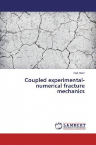 Kniha Coupled experimental-numerical fracture mechanics Hadi Haeri