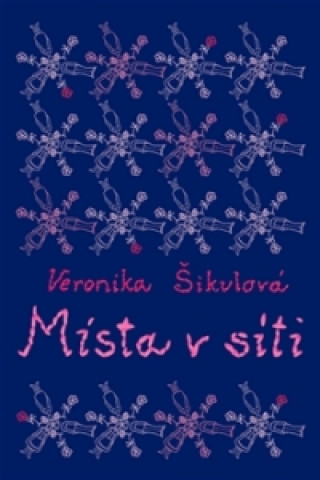 Könyv Místa v síti Veronika Šikulová