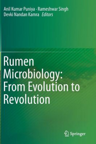 Könyv Rumen Microbiology: From Evolution to Revolution Anil Kumar Puniya