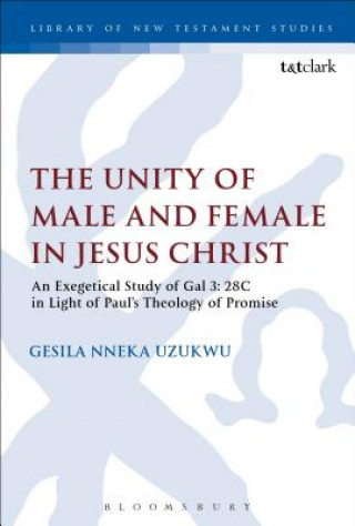 Kniha Unity of Male and Female in Jesus Christ Nneka Uzukwu