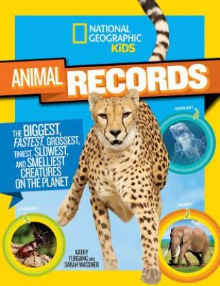 Carte Animal Records Sarah Wassner