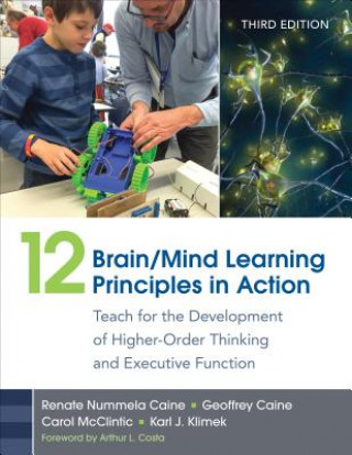 Kniha 12 Brain/Mind Learning Principles in Action Renate Caine