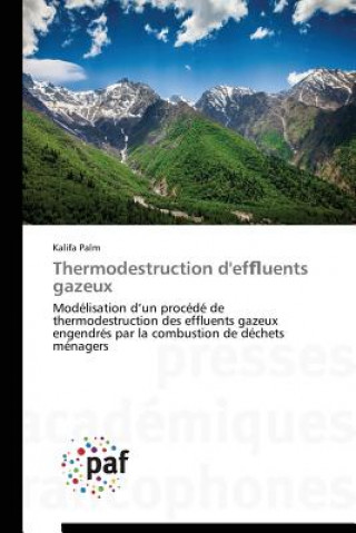 Könyv Thermodestruction d'Ef Uents Gazeux Palm-K