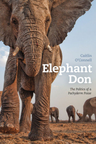 Könyv Elephant Don Caitlin O'Connell