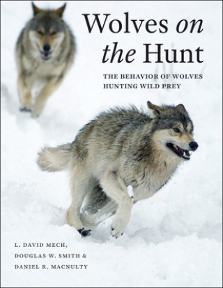 Książka Wolves on the Hunt L. David Mech