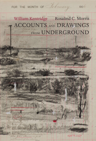 Kniha Accounts and Drawings from Underground William Kentridge