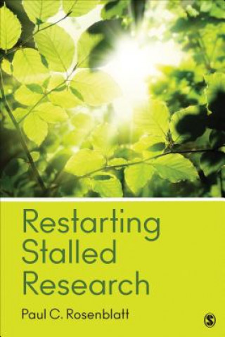 Kniha Restarting Stalled Research Paul C Rosenblatt