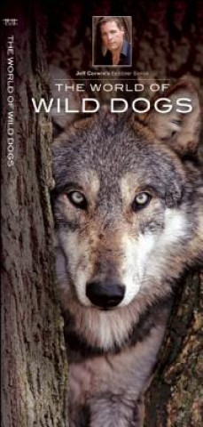Kniha World of Wild Dogs James Kavanagh