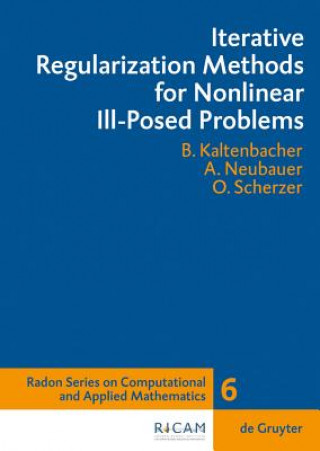 Carte Iterative Regularization Methods for Nonlinear Ill-Posed Problems Barbara Kaltenbacher