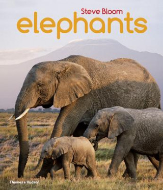 Kniha Elephants Steve Bloom