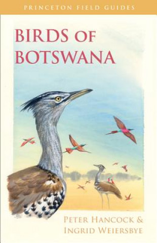 Kniha Birds of Botswana Peter Hancock