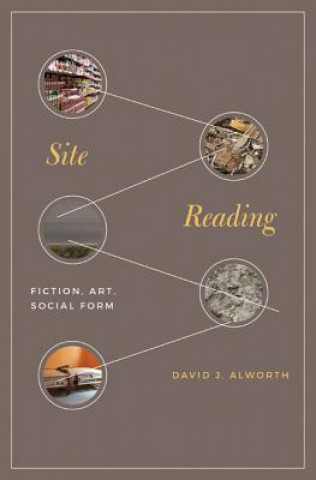 Carte Site Reading David J. Alworth