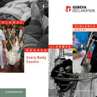 Carte Global Burden of Armed Violence 2015 Geneva Declaration Secretariat