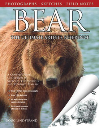 Kniha Bear Doug Lindstrand