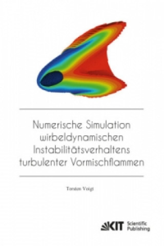 Buch Numerische Simulation wirbeldynamischen Instabilitätsverhaltens turbulenter Vormischflammen Torsten Voigt