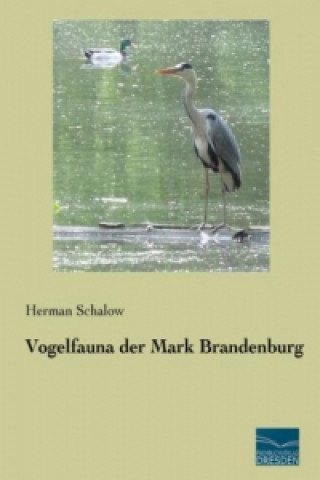 Kniha Vogelfauna der Mark Brandenburg Herman Schalow