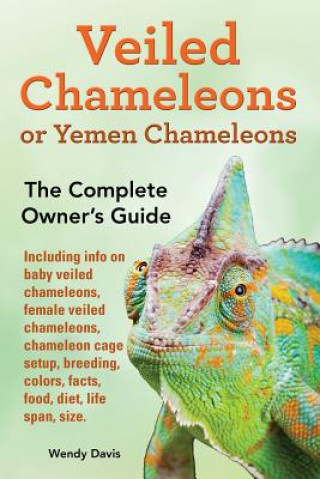 Carte Veiled Chameleons or Yemen Chameleons as pets. info on baby veiled chameleons, female veiled chameleons, chameleon cage setup, breeding, colors, facts Wendy Davis