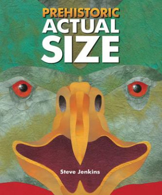 Carte Prehistoric Actual Size Steve Jenkins
