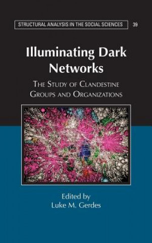 Buch Illuminating Dark Networks Luke M. Gerdes