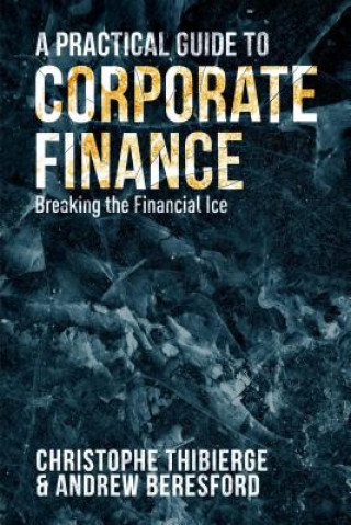 Kniha Practical Guide to Corporate Finance Christophe Thibierge