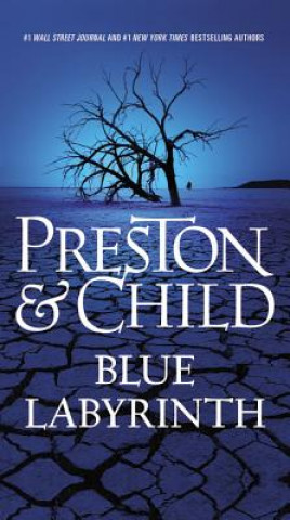 Kniha Blue Labyrinth Douglas Preston