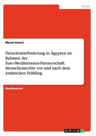 Buch Demokratiefoerderung in AEgypten im Rahmen der Euro-Mediterranen-Partnerschaft. Menschenrechte vor und nach dem Arabischen Fruhling Manel Gasmi