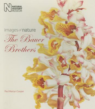 Book Bauer Brothers Paul Martyn Cooper