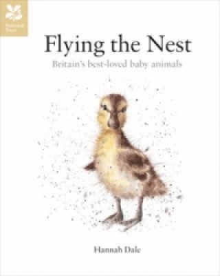 Book Flying the Nest Hannah Dale