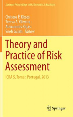 Книга Theory and Practice of Risk Assessment Christos Kitsos