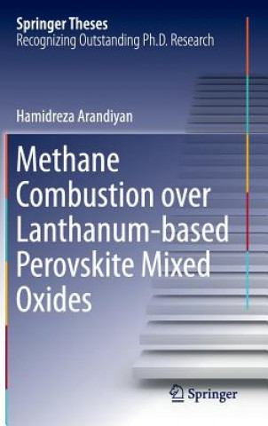 Kniha Methane Combustion over Lanthanum-based Perovskite Mixed Oxides Hamidreza Arandiyan