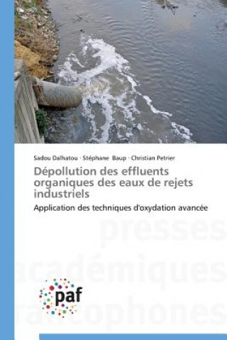 Könyv Depollution Des Effluents Organiques Des Eaux de Rejets Industriels 