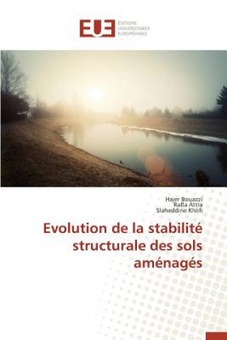 Kniha Evolution de la Stabilit  Structurale Des Sols Am nag s 