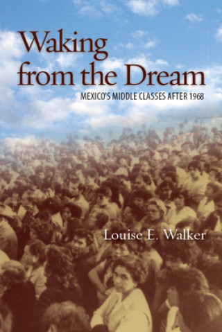 Book Waking from the Dream Louise Walker