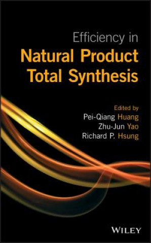 Könyv Efficiency in Natural Product Total Synthesis Pei-Qiang Huang