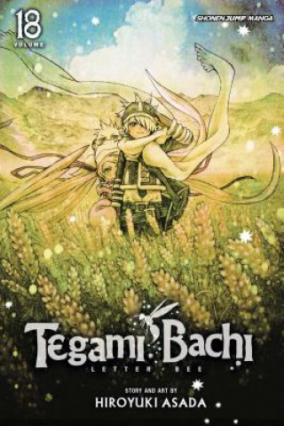 Könyv Tegami Bachi, Vol. 18 Hiroyuki Asada