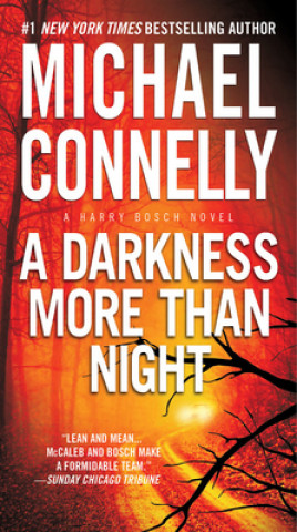 Carte A Darkness More Than Night Michael Connelly