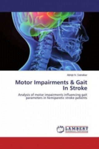 Könyv Motor Impairments & Gait In Stroke Abhijit N. Satralkar