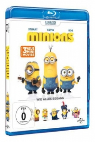 Видео Minions, 1 Blu-ray Claire Dodgson