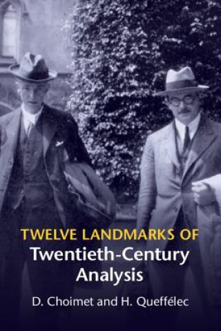 Libro Twelve Landmarks of Twentieth-Century Analysis D. Choimet