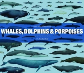 Kniha Whales, Dolphins and Porpoises Annalisa Berta