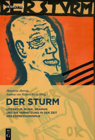 Könyv Sturm Henriette Herwig