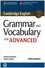 Carte Grammar and Vocabulary for Advanced Martin Hewings
